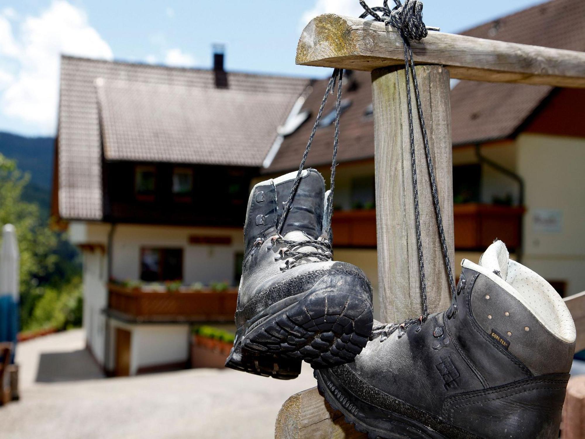 Paradies Im Schwarzwald Bad Peterstal-Griesbach Exteriér fotografie
