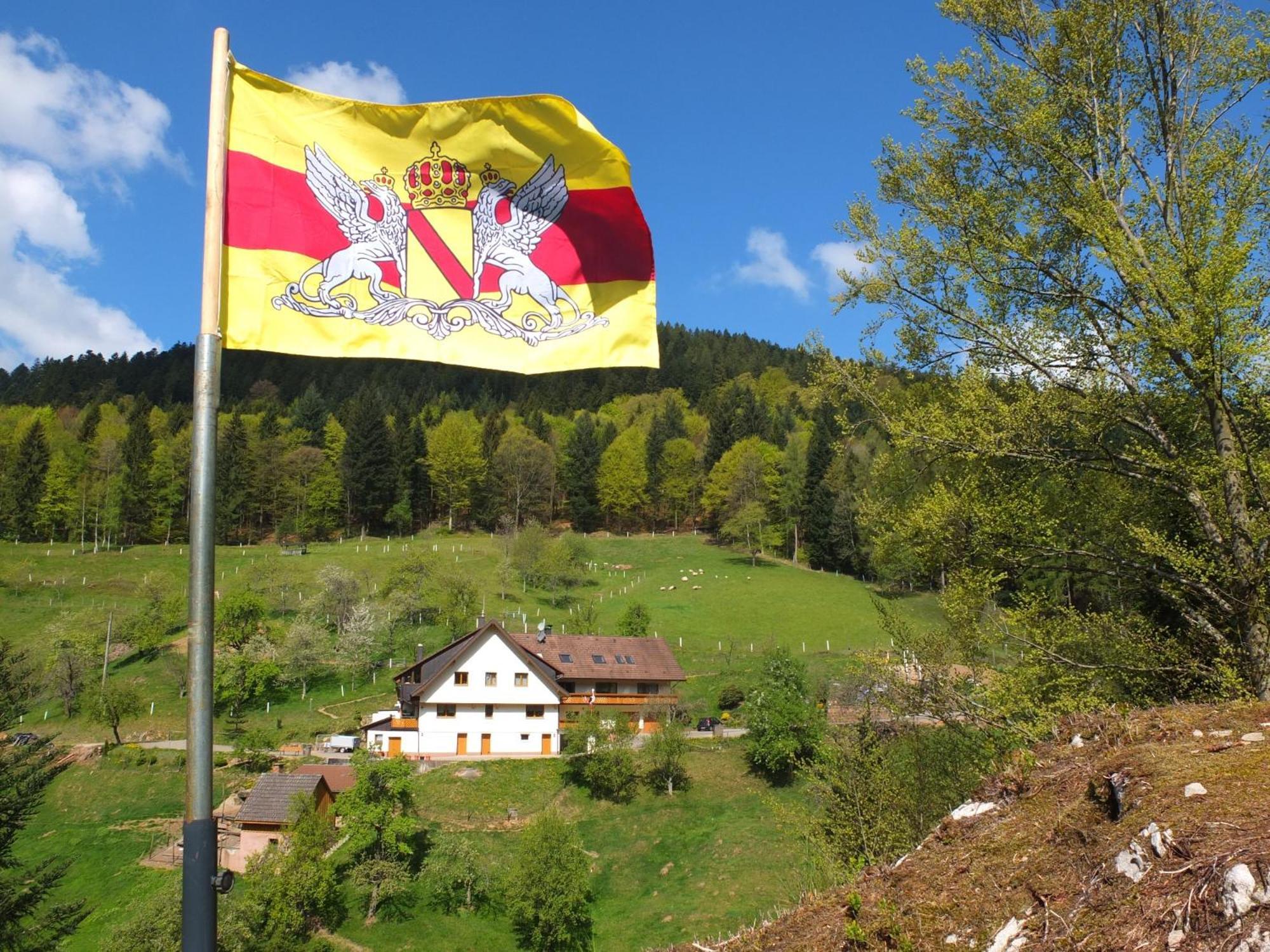 Paradies Im Schwarzwald Bad Peterstal-Griesbach Exteriér fotografie